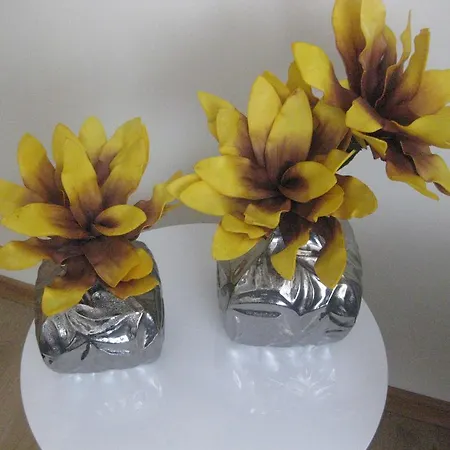 Aboimhouse Σπίτι διακοπών Amarante