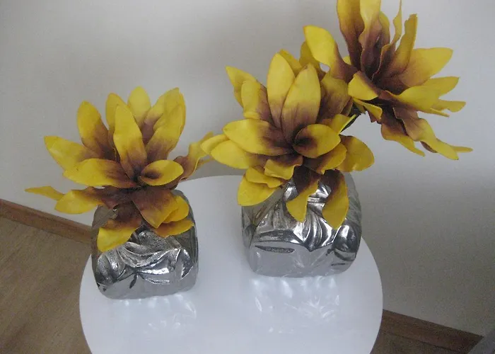 Aboimhouse 펜션 아마란테